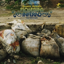 QUANTIC PRESENTA FLOWERING INFERNO-DOG WITH A...