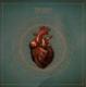VEILS-SUN GANGS