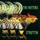 METERS-STRUTTIN' -HQ VINYL-