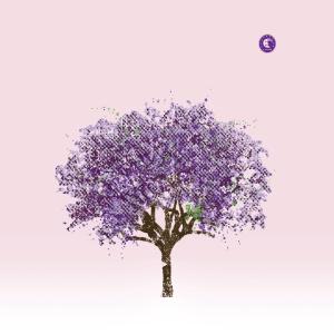 EELS-TOMORROW MORNING -LP+7"-