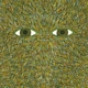 FLYING LOTUS-PATTERN/GRID WORLD