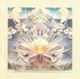 JUNIP-FIELDS