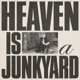 YOUTH LAGOON-HEAVEN IS A JUNKYARD