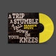 SEASICK STEVE-A TRIP A STUMBLE A FALL DOWN ON YOU