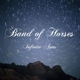 BAND OF HORSES-INFINITE ARMS