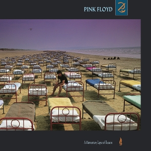 PINK FLOYD-MOMENTARY LAPSE OF REASON