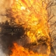 INTER ARMA-SULPHUR ENGLISH