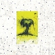 SONGS: OHIA-IMPALA