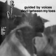 GUIDED BY VOICES-DEVIL BETWEEN MY TOES