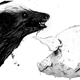 CLARK-HONEY BADGER / PIG