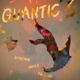 QUANTIC-DANCING WHILE FALLING