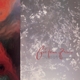 COCTEAU TWINS-TINY DYNAMINE/ECHOES IN A SHALLOW
