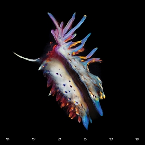 SUB FOCUS-EVOLVE