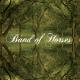 BAND OF HORSES-EVERYTHING ALL THE TIME