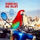 CORRIVEAU, ANTOINE-OISEAU DE NUIT