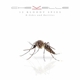 CHEVELLE-12 BLOODY SPIES: R-SIDES AND RARITIE...