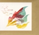 ANIMAL COLLECTIVE-CAMPFIRE SONGS