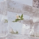 EFTERKLANG-WINDFLOWERS