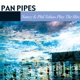 PANPIPES-PLAY THE HITS