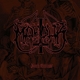 MARDUK-DARK ENDLESS