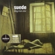SUEDE-DOG MAN STAR