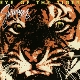 SURVIVOR-EYE OF THE TIGER