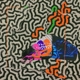 ANIMAL COLLECTIVE-TANGERINE REEF -COLOURED-