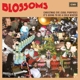 BLOSSOMS-CHRISTMAS EVE (SOUL PURPOSE)