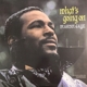 GAYE, MARVIN-WHAT'S GOING ON