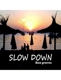 VARIOUS-SLOW DOWN - IBIZA GROOVES
