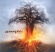 AMORPHIS-SKYFORGER -COLOURED-