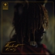 THUNDERCAT-IT IS WHAT IT IS