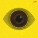 NDEGEOCELLO, ME'SHELL-NO MORE WATER: THE GOSP...