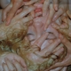 PHARMAKON-CONTACT