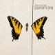 PARAMORE-BRAND NEW EYES