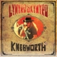 LYNYRD SKYNYRD-LIVE AT KNEBWORTH '76 (DVD+CD)