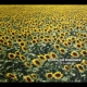 ECHO & THE BUNNYMEN-ME, I'M ALL SMILES