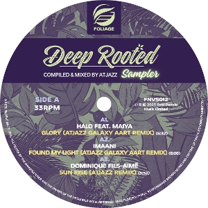 VARIOUS-DEEP ROOTED (COMPILED & MIXED BY ATJAZZ) VINYL SAMPLER