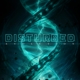 DISTURBED-EVOLUTION