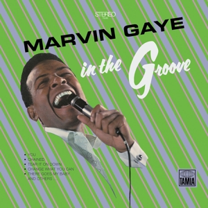 GAYE, MARVIN-IN THE GROOVE