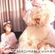SIA-REASONABLE WOMAN -PINK COLOURED-