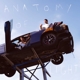 AARON-ANATOMY OF LIGHT