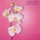MECANO-DONDE ESTA EL PAIS DE LAS HADAS?