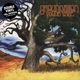 GROUNDATION-YOUNG TREE