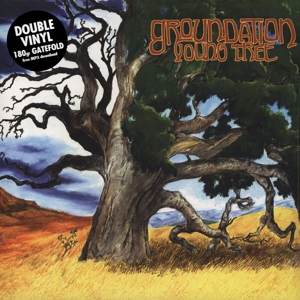 GROUNDATION-YOUNG TREE