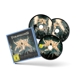 FIREWIND-STILL RAGING (BLURAY+CD)