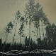 DEWIT, WOUTER-HOLD