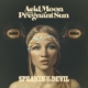 ACID MOON AND THE PREGNANT SUN-SPEAKIN OF THE...