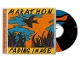 MARATHON-FADING IMAGE