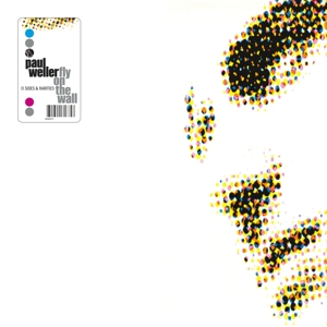 WELLER, PAUL-FLY ON THE WALL: B-SIDES & RARITIES 1991 - 2001 -L
